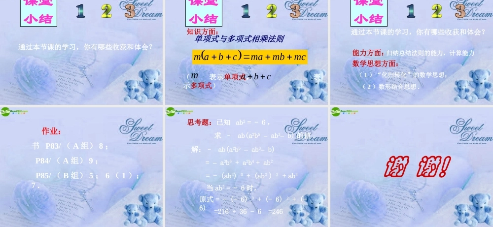 七年级数学下册 7.3整式的乘法课件 北京课改版 课件