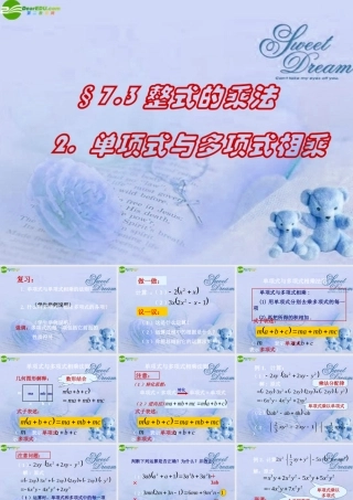 七年级数学下册 7.3整式的乘法课件 北京课改版 课件