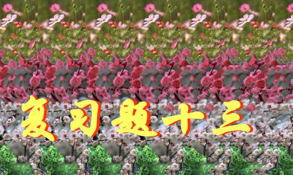 复习题十三 初三数学复习题课件[整理十四套]人教版