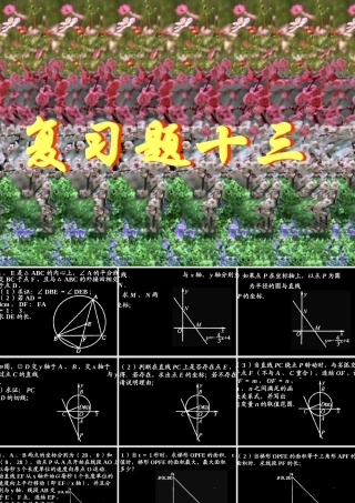 复习题十三 初三数学复习题课件[整理十四套]人教版