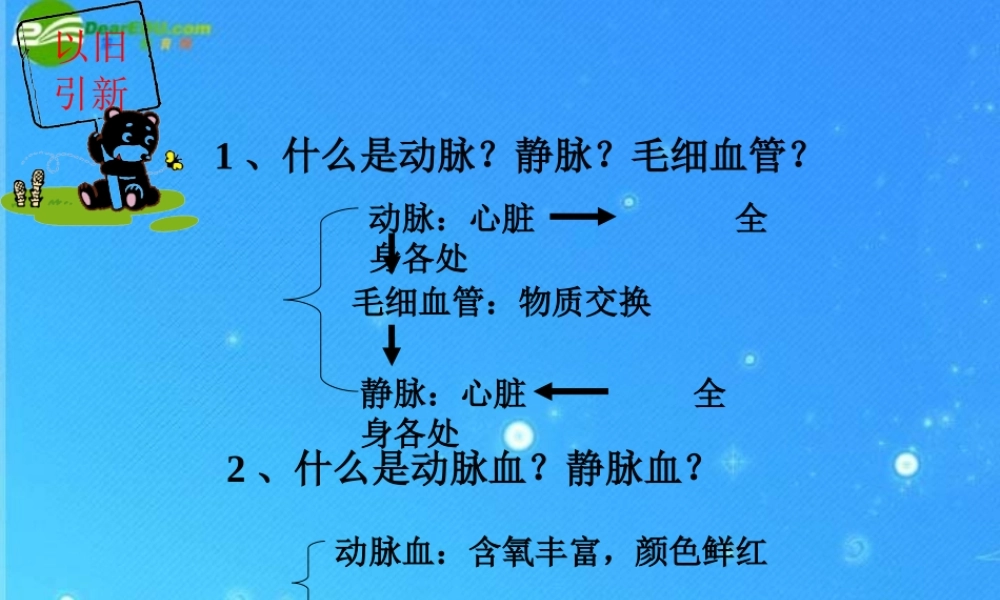 七年级生物下册 第三节物质运输的途径课件 济南版 课件