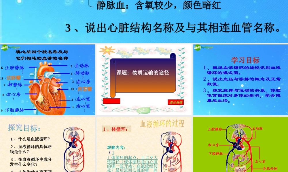七年级生物下册 第三节物质运输的途径课件 济南版 课件