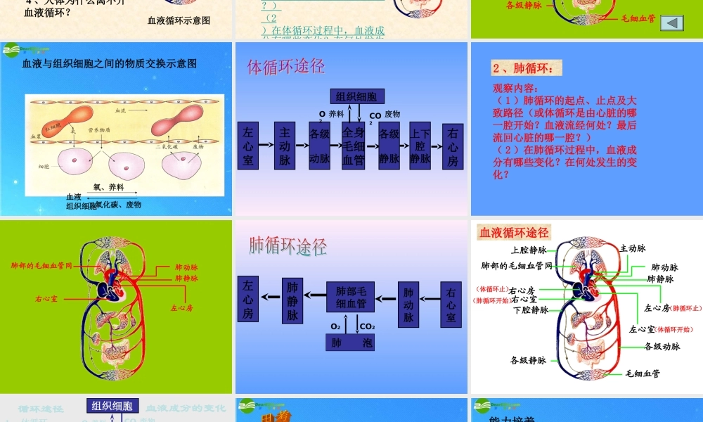 七年级生物下册 第三节物质运输的途径课件 济南版 课件