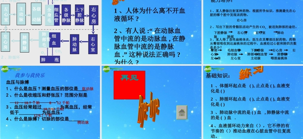 七年级生物下册 第三节物质运输的途径课件 济南版 课件