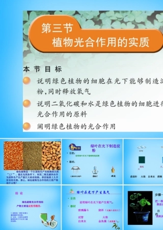 中学七年级生物上册 第6章 第3节 植物光合作用的实质课件1 苏教版 课件