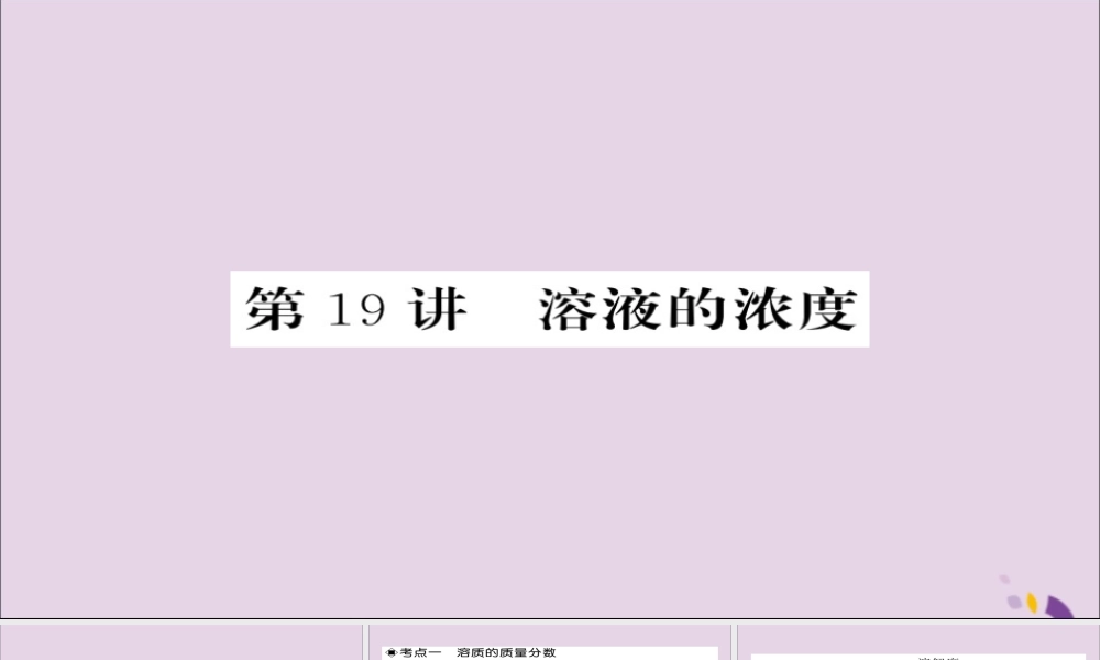 中考化学总复习 第一轮复习 系统梳理 夯基固本 第19讲 溶液的浓度课件