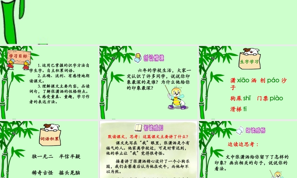 《张潇洒》课件-2