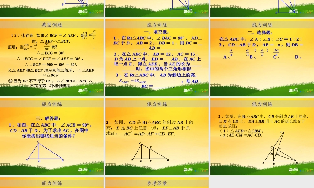 九年级数学中考专题(空间与图形)—第十五讲(相似图形(三))课件(北师大版)  九年级数学中考专题课件-空间与图形(共18套)北师大版