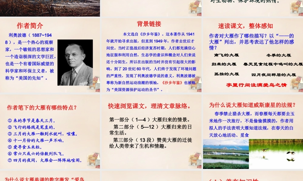 八年级语文下册 第三单元 第14课(大雁归来)课件 (新版)新人教版 课件