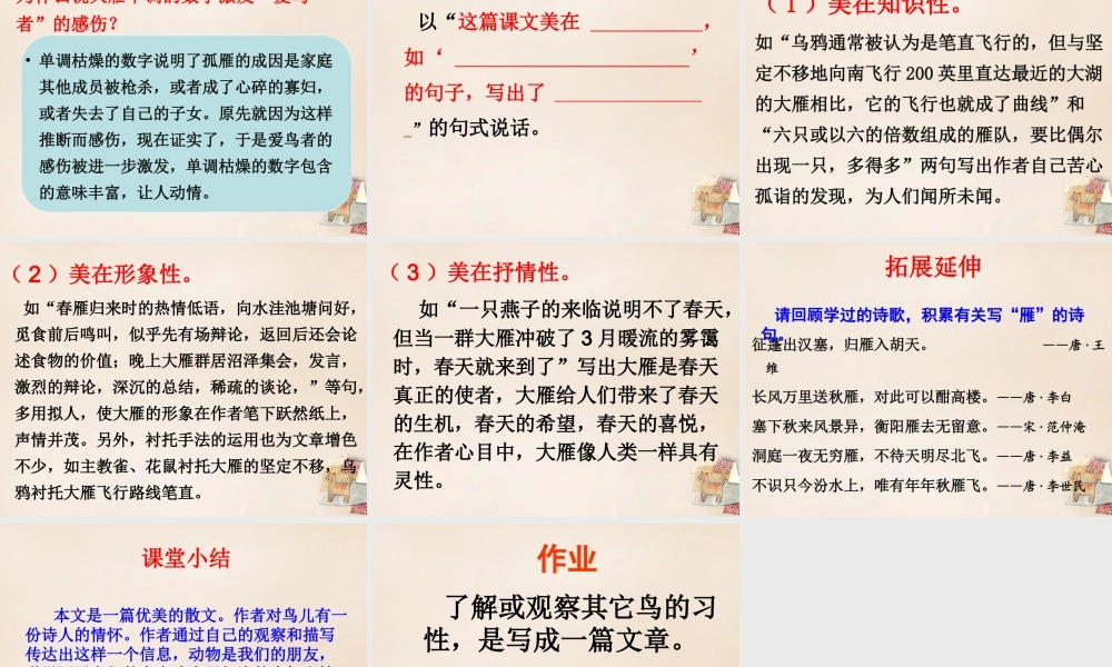 八年级语文下册 第三单元 第14课(大雁归来)课件 (新版)新人教版 课件