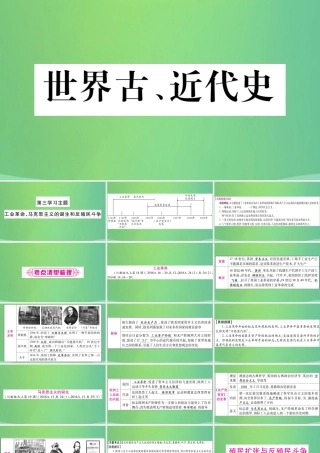 中考历史复习 第一篇 教材系统复习 4 世界古、近代史 第三学习主题 工业革命、马克思主义的诞生和反殖民斗争讲解课件