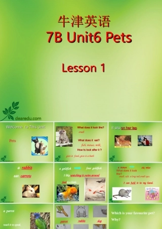 七年级英语下册 Welcome to Unit 6课件 牛津译林版 课件