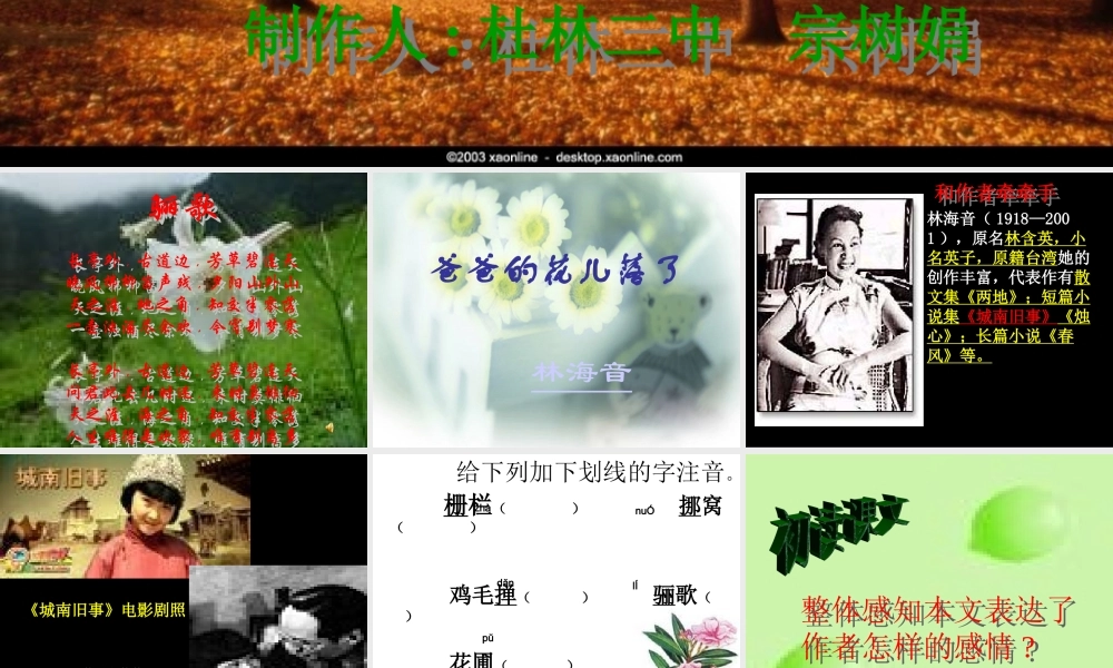 七年级语文爸爸的花儿落了 试题