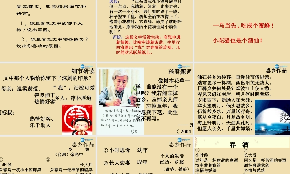 中学八年级语文下册 19 春酒课件 新人教版 课件