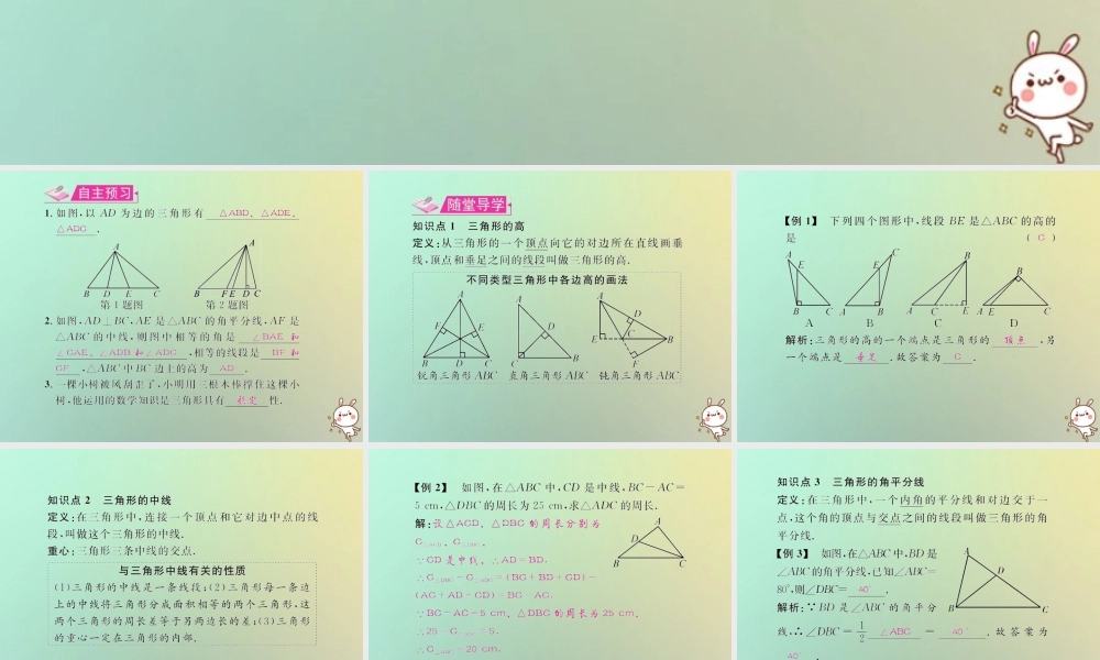 八年级数学上册 第十一章 三角形 11.1 与三角形有关的线段 11.1.2 三角形的高、中线与角平分线 11.1.3 三角形的稳定性教学课件 (新版)新人教版 课件