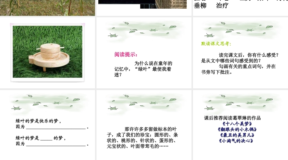 《绿叶的梦》课件