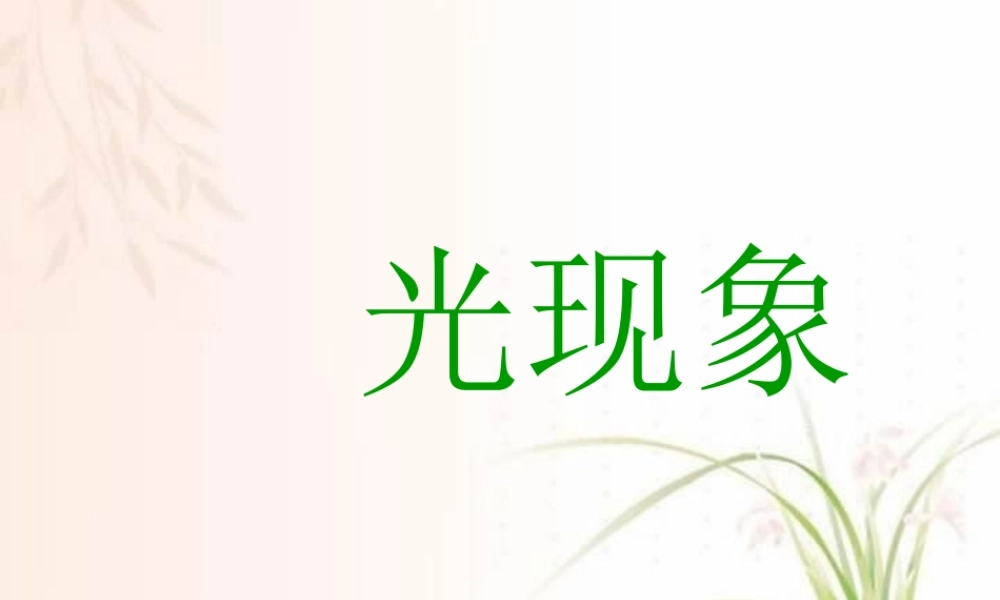 新课标 人教版初三物理复习课件 光现象 课件