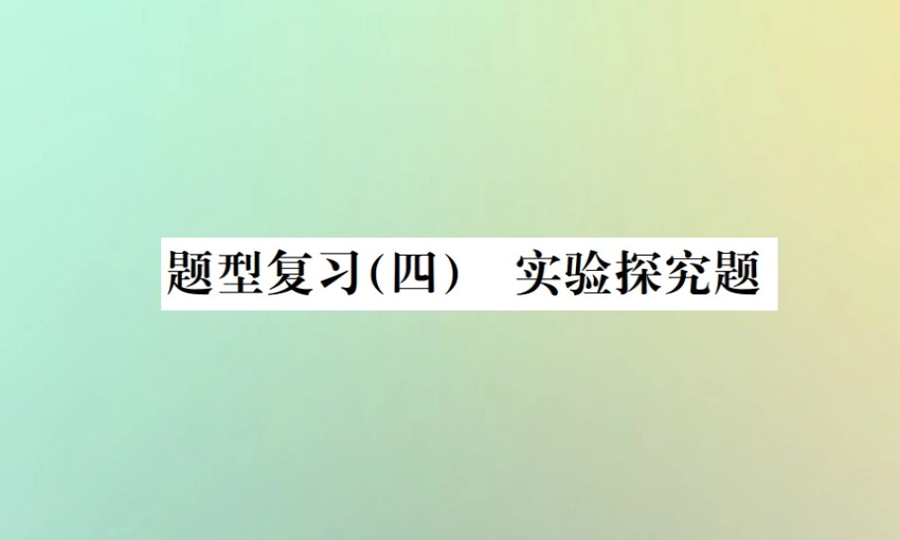 中考化学复习 题型复习(四)实验探究题 题型之二 反应后物质成分的探究课件