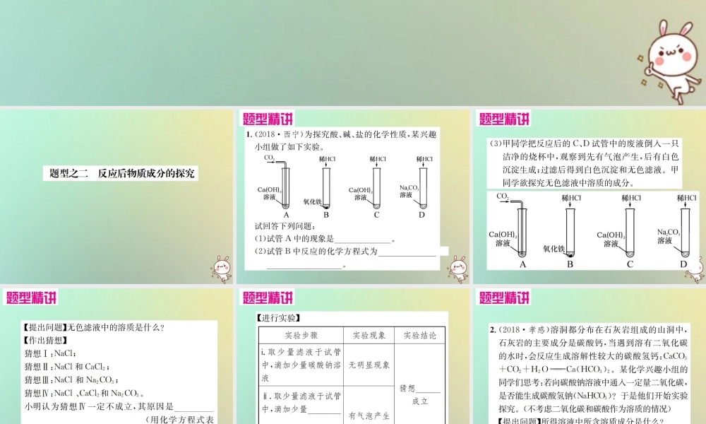 中考化学复习 题型复习(四)实验探究题 题型之二 反应后物质成分的探究课件