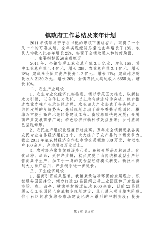 镇政府工作总结及来年计划