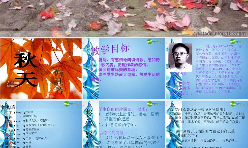 七年级语文上册 第十四课(秋天)课件 人教新课标版 课件