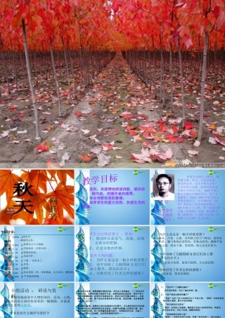 七年级语文上册 第十四课(秋天)课件 人教新课标版 课件