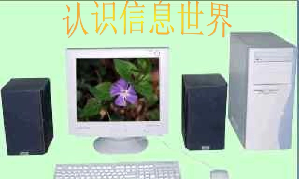 认识信息世界