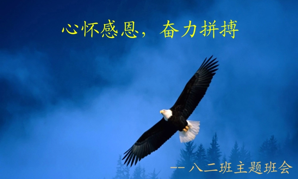 心怀感恩-奋力拼搏