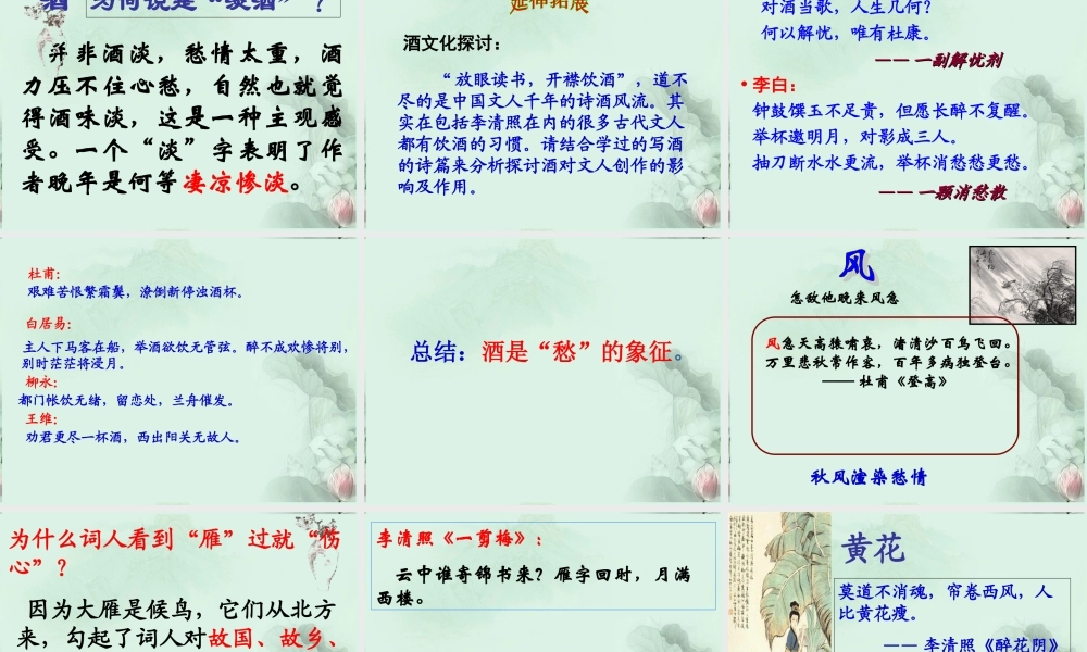 山东省冠县一中高二语文 声声慢课件 新人教版 课件