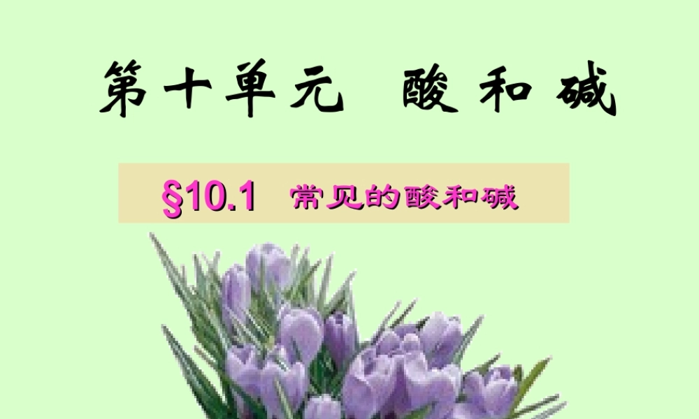 初三化学常见的酸和碱课件示例二 课件