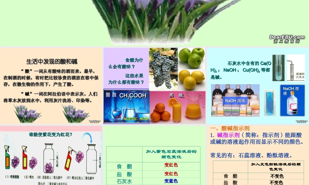 初三化学常见的酸和碱课件示例二 课件