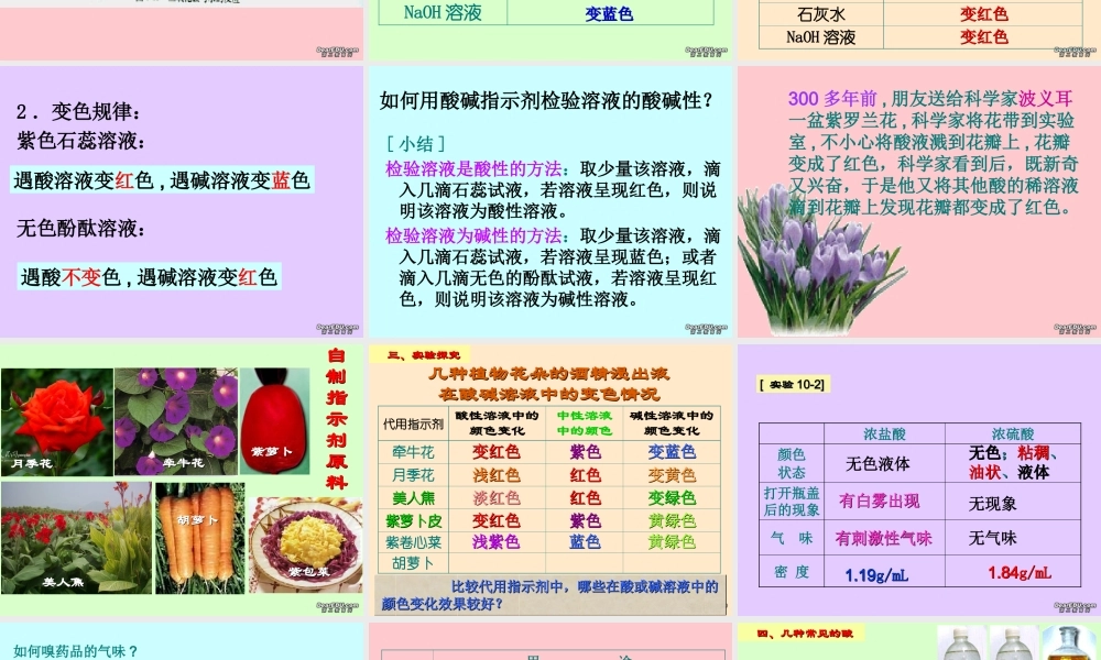 初三化学常见的酸和碱课件示例二 课件