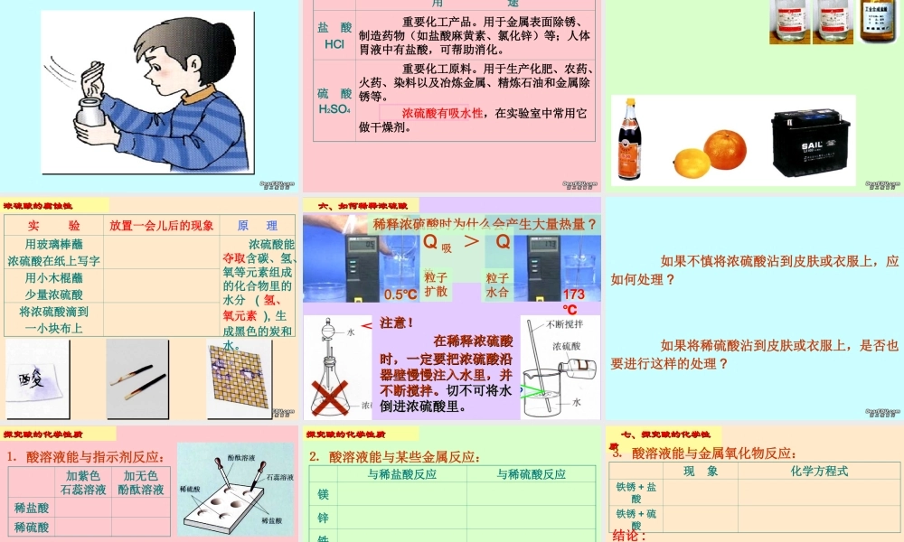 初三化学常见的酸和碱课件示例二 课件