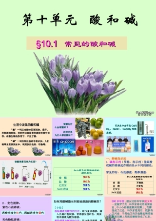 初三化学常见的酸和碱课件示例二 课件