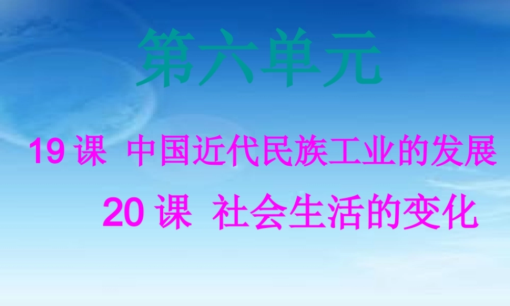八年级历史上册 19—学课件 人教新课标版 课件