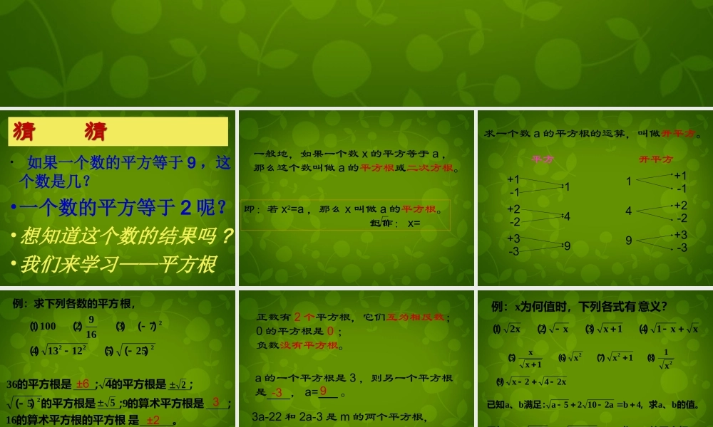 八年级数学上册 13.1.2 平方根课件 新人教版 课件