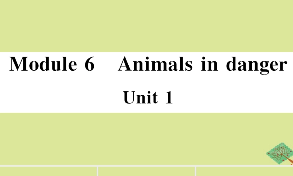 八年级英语上册 Module 6 Animals in danger Unit 1 It allows people to get closer to them(小册子)作业课件 (新版)外研版 课件