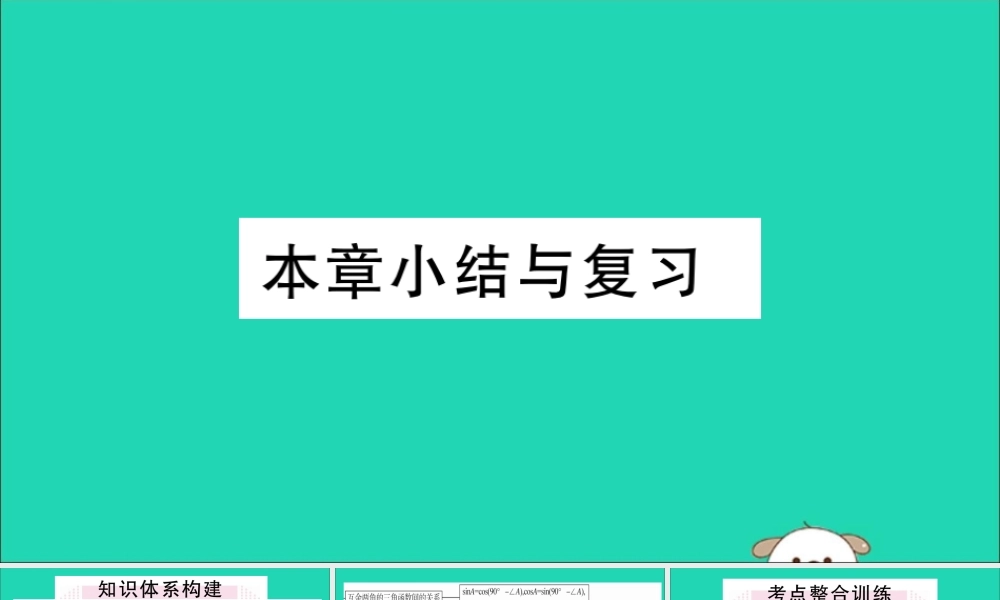 九年级数学下册 第28章 锐角三角函数小结与复习习题讲评课件 (新版)新人教版 课件
