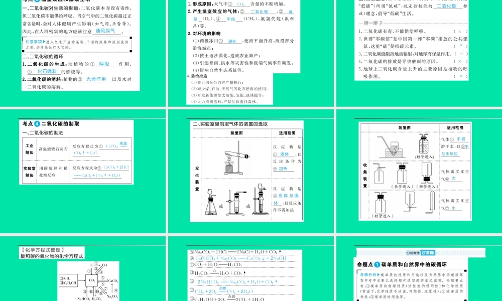 中考化学总复习 第六单元 碳和碳的氧化物课件