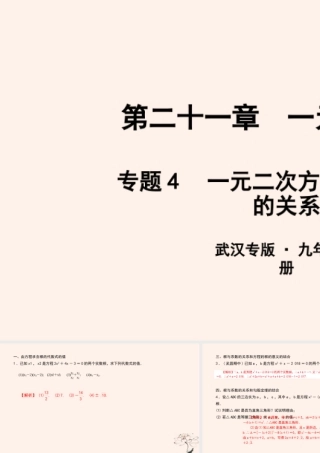 九年级数学上册 第二十一章 一元二次方程 专题4 一元二次方程的根与系数的关系课件 (新版)新人教版 课件