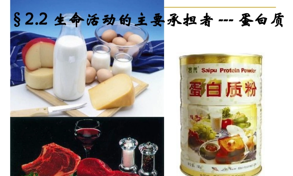 第二节蛋白质