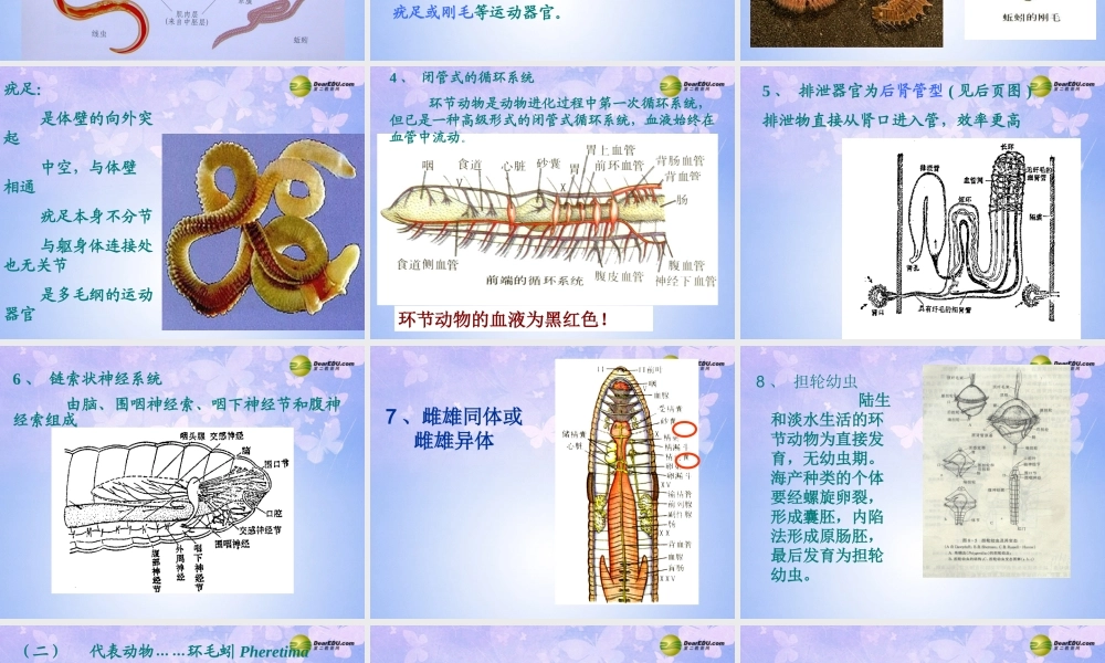 八年级生物上册 第五单元 1.2 环节动物课件 (新版)新人教版 课件