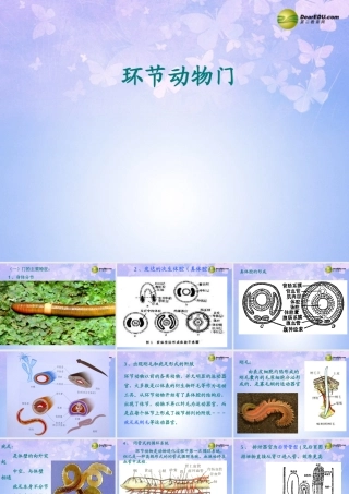 八年级生物上册 第五单元 1.2 环节动物课件 (新版)新人教版 课件