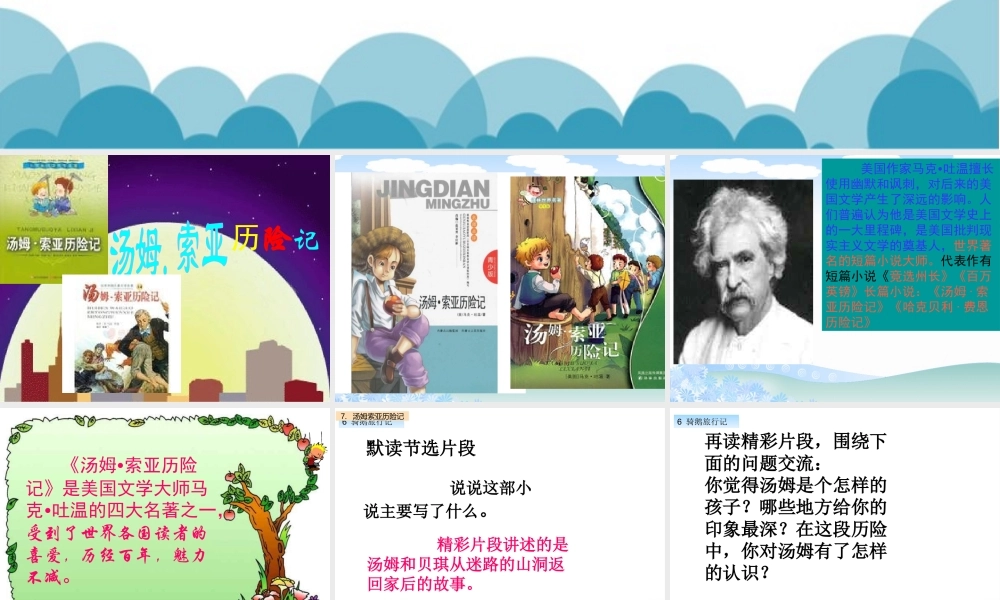 7、汤姆索亚历险记