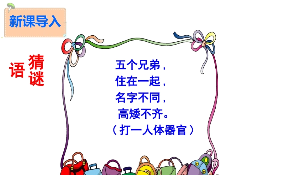 5《手指》多媒体课件关喆.ppt