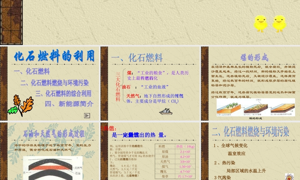 参赛初三化学化石燃料的利用[整理]上教版 课件