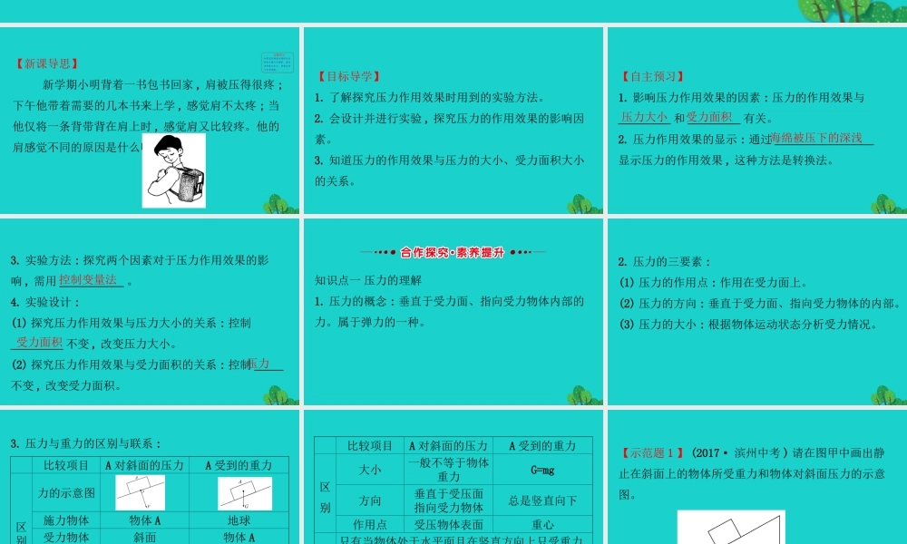 八年级物理下册 9.1 压强(第1课时)习题课件 (新版)新人教版 课件