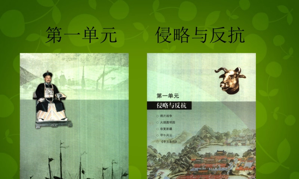 八年级历史上册(第一单元 侵略与反抗)复习课件 新人教版 课件