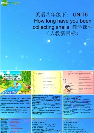 八年级英语下册 UNIT6 How long have you been collecting shells 教学课件 人教新目标版 课件