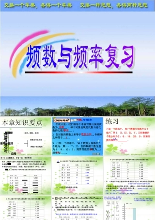 八年级数学上册 第四章频数与频率复习 课件 湘教版 课件